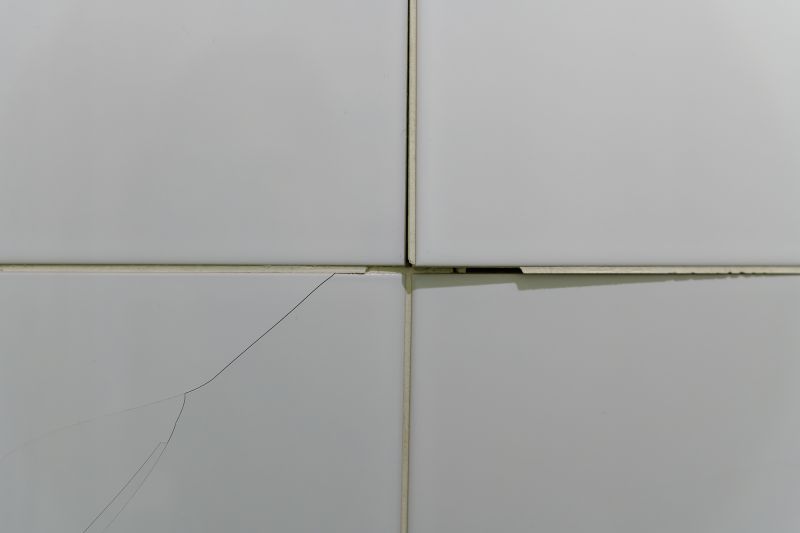 Tile Repair Specialists